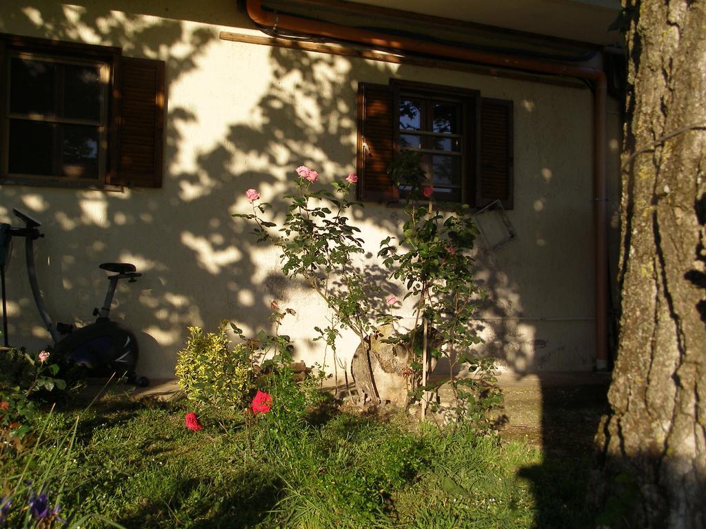 Bed And Breakfast Casale Isorella San Gemini Buitenkant foto